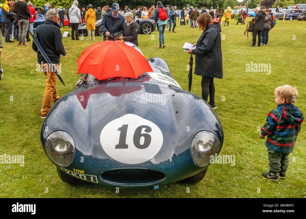 Middlewick House Open Gardens 2025 Stockfoto