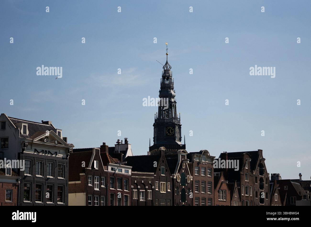 Der Amsterdamer Uhrenturm erhebt sich über den historischen Dächern Stockfoto