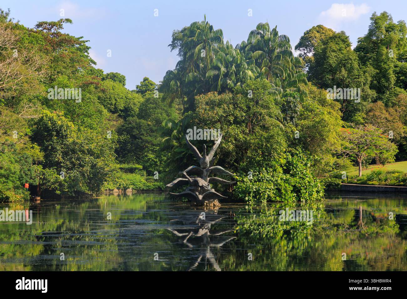 Schwanensee im Botanischen Garten von Singapur Stockfoto
