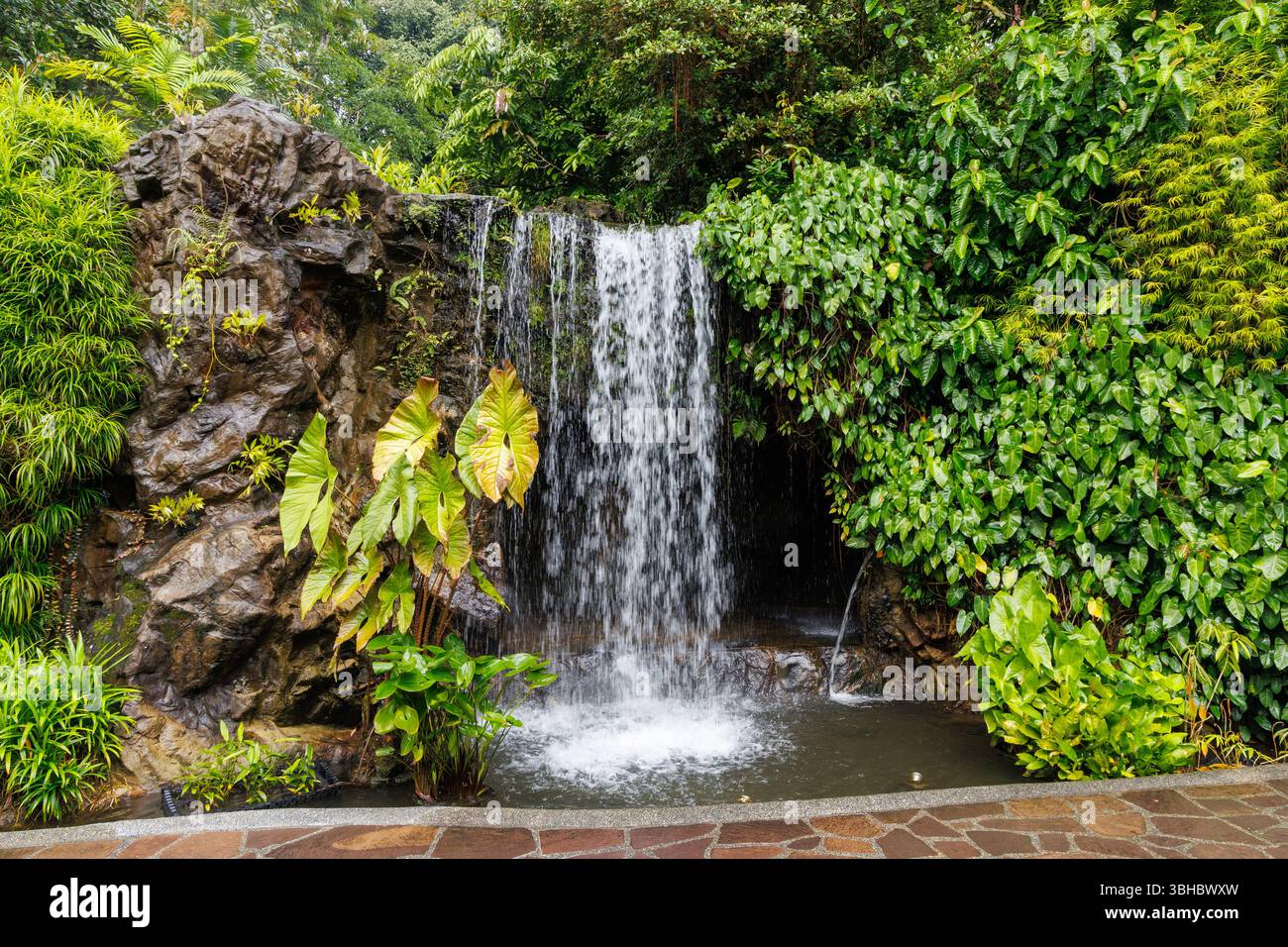 Wasserfall im Botanischen Garten von Singapur Stockfoto