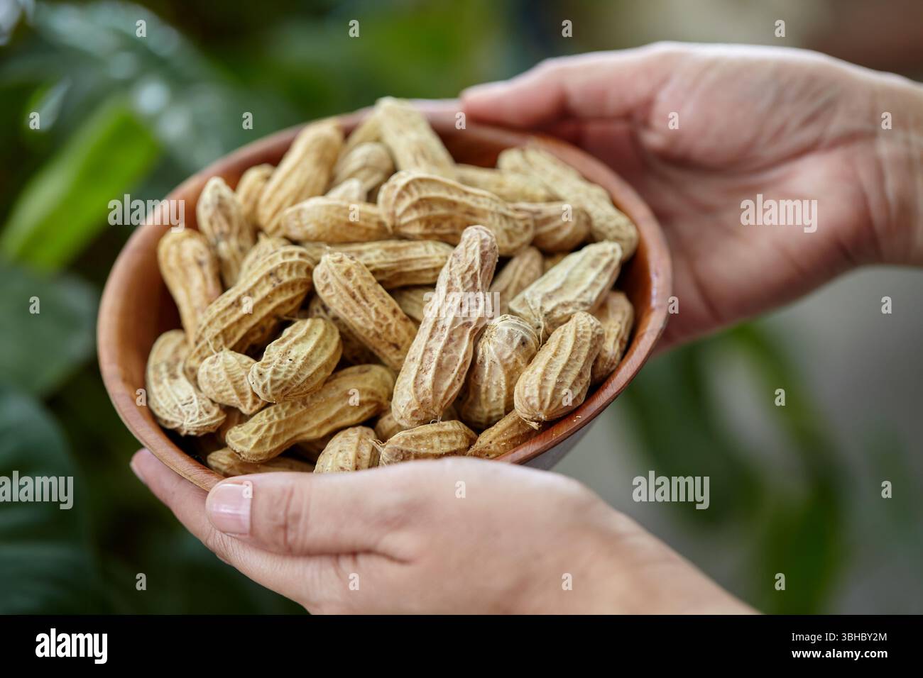 Nahaufnahme der Hand, die Erdnüsse in der Schüssel hält Stockfoto
