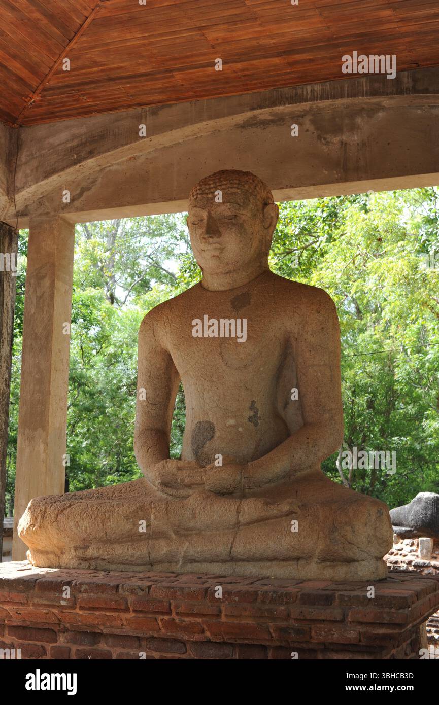 Statue des Samadhi Buddha in der Position der Dhyana Mudra Meditation im Mahamevnāwa Park in Anuradhapura, Sri Lanka. Die Statue ist 1,5m hoch Stockfoto