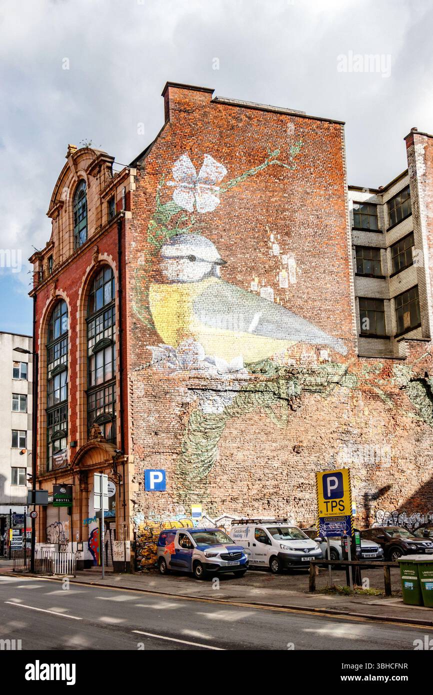 Street Art Wandgemälde von sarah yates 2011 mit einem Vogel und Blumen an der Seite eines historischen Gebäudes in manchester City Street mit geparkten Autos uk Stockfoto