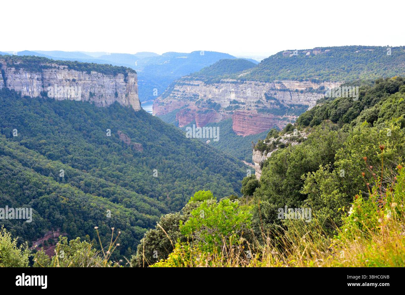 Tavertet Klippe und Ter Fluss. Osona, Barcelona, Katalonien, Spanien. Stockfoto