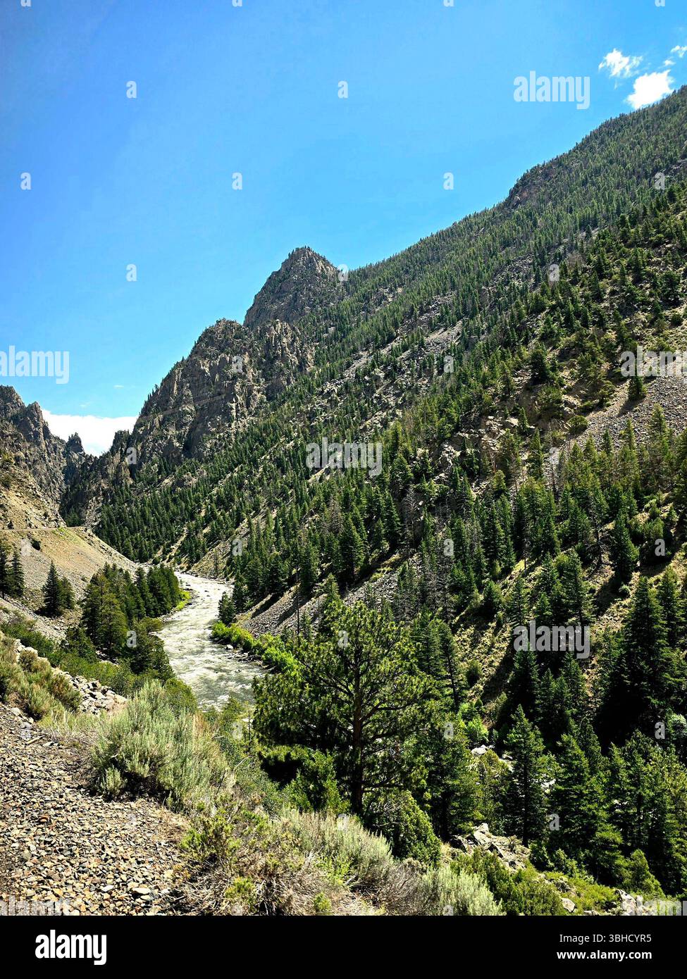 Malerisches Wasserboot auf einem Fluss, der sich unter blauem Himmel und Baumwollwolken in den Colorado Rockies windet. - Smartphone-aufgenommenes Stockfoto
