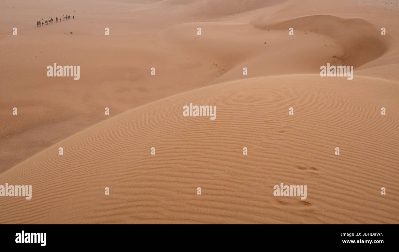 Blick auf die Wüste Zagora, zwischen Ruhe und Gelassenheit, während eines authentischen Biwaktages auf einer Reise nach Marokko. Stockfoto