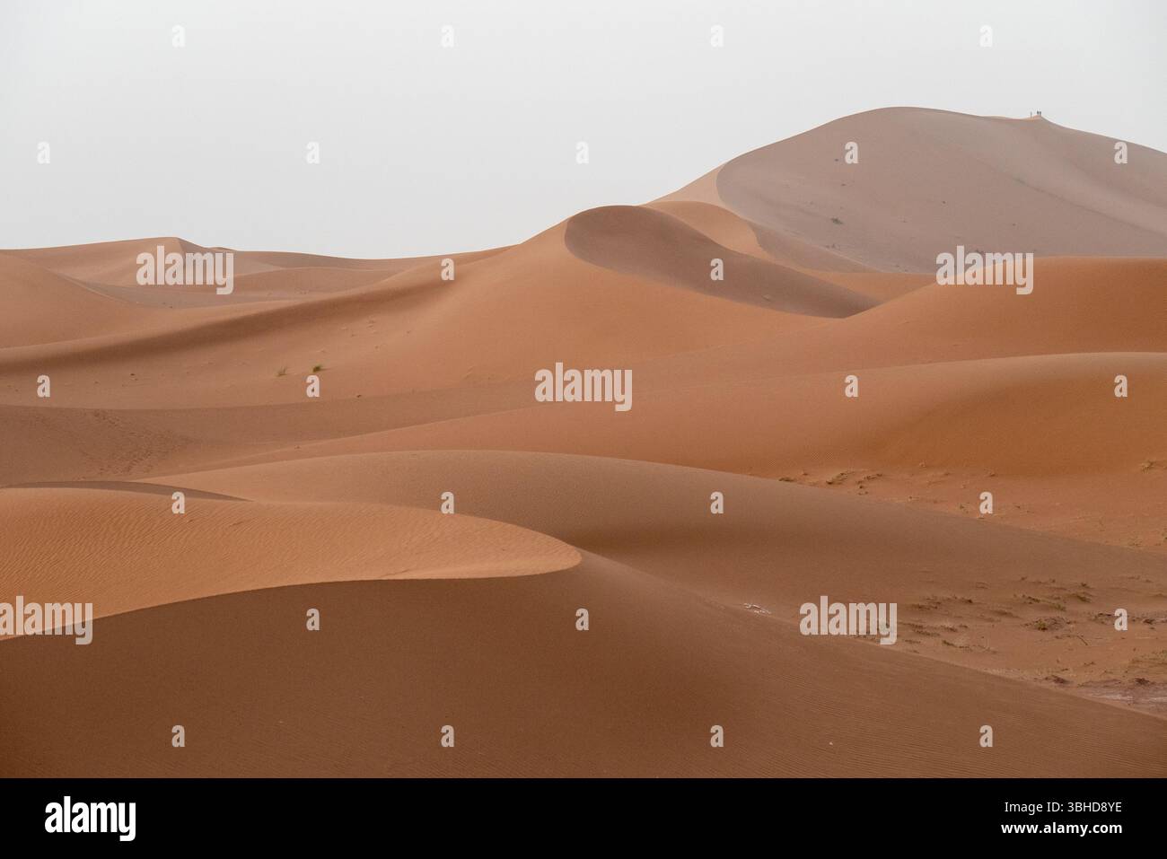 Blick auf die Wüste Zagora, zwischen Ruhe und Gelassenheit, während eines authentischen Biwaktages auf einer Reise nach Marokko. Stockfoto