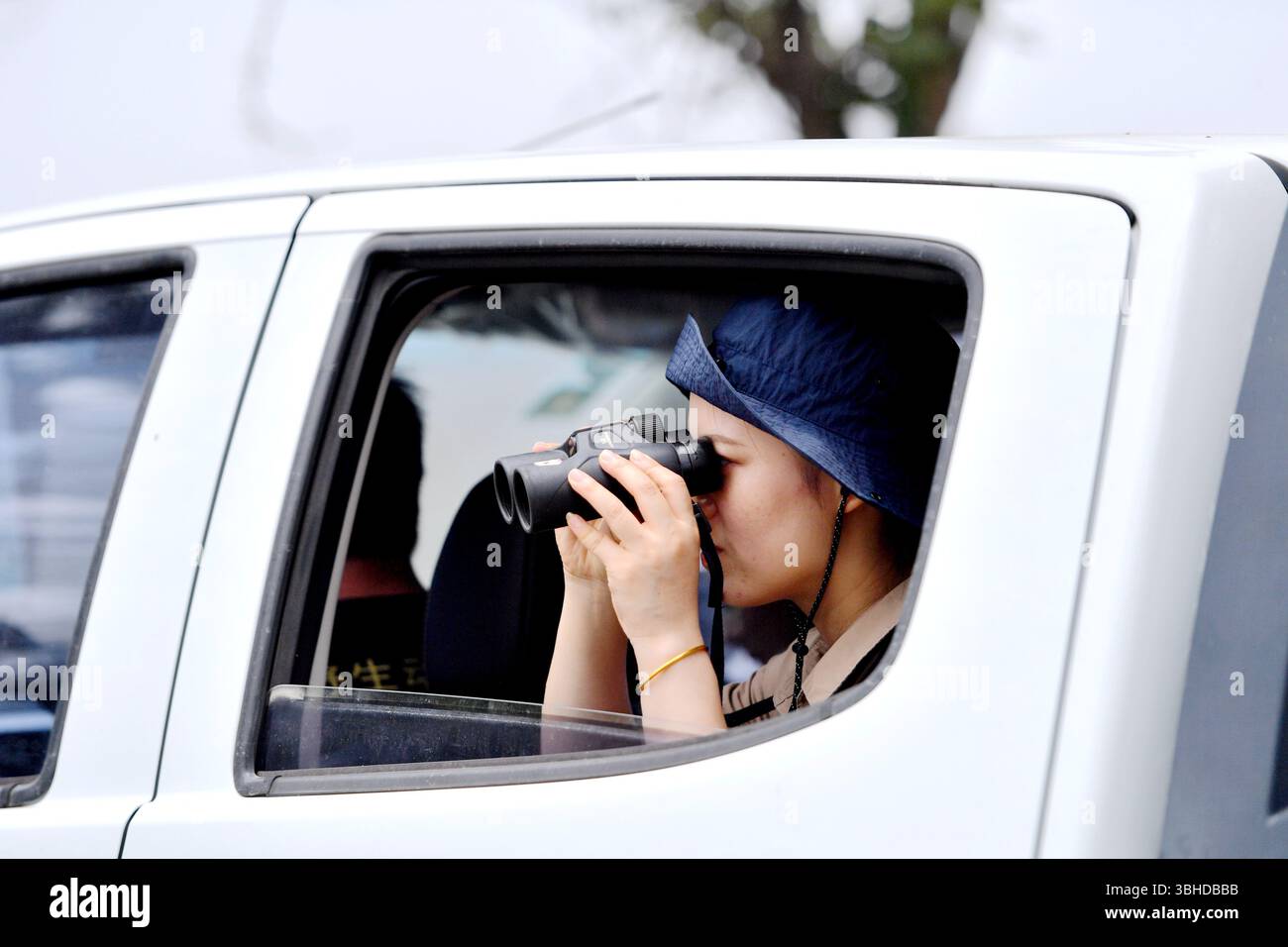 (250609) -- YANCHENG, 9. Juni 2025 (Xinhua) -- Xue Dandan patrouilliert im Dafeng Milu National Nature Reserve in der ostchinesischen Provinz Jiangsu, 7. Juni 2025. Xue Dandan, 35, ist Leiter der Sicherheitsabteilung des Dafeng Milu National Nature Reserve in Jiangsu. Nach ihrem Abschluss im Jahr 2016 widmete sie sich dem Patrouillenmanagement und der Public Science-Ausbildung von Milu-Hirschen in der Reserve. Als sie ankam, wusste sie wenig über die Spezies. In den letzten neun Jahren hat Xue sich in relevante Materialien eingetaucht, Experten und Gelehrte konsultiert und regelmäßig Feldpatrouillen mit Colleges durchgeführt Stockfoto
