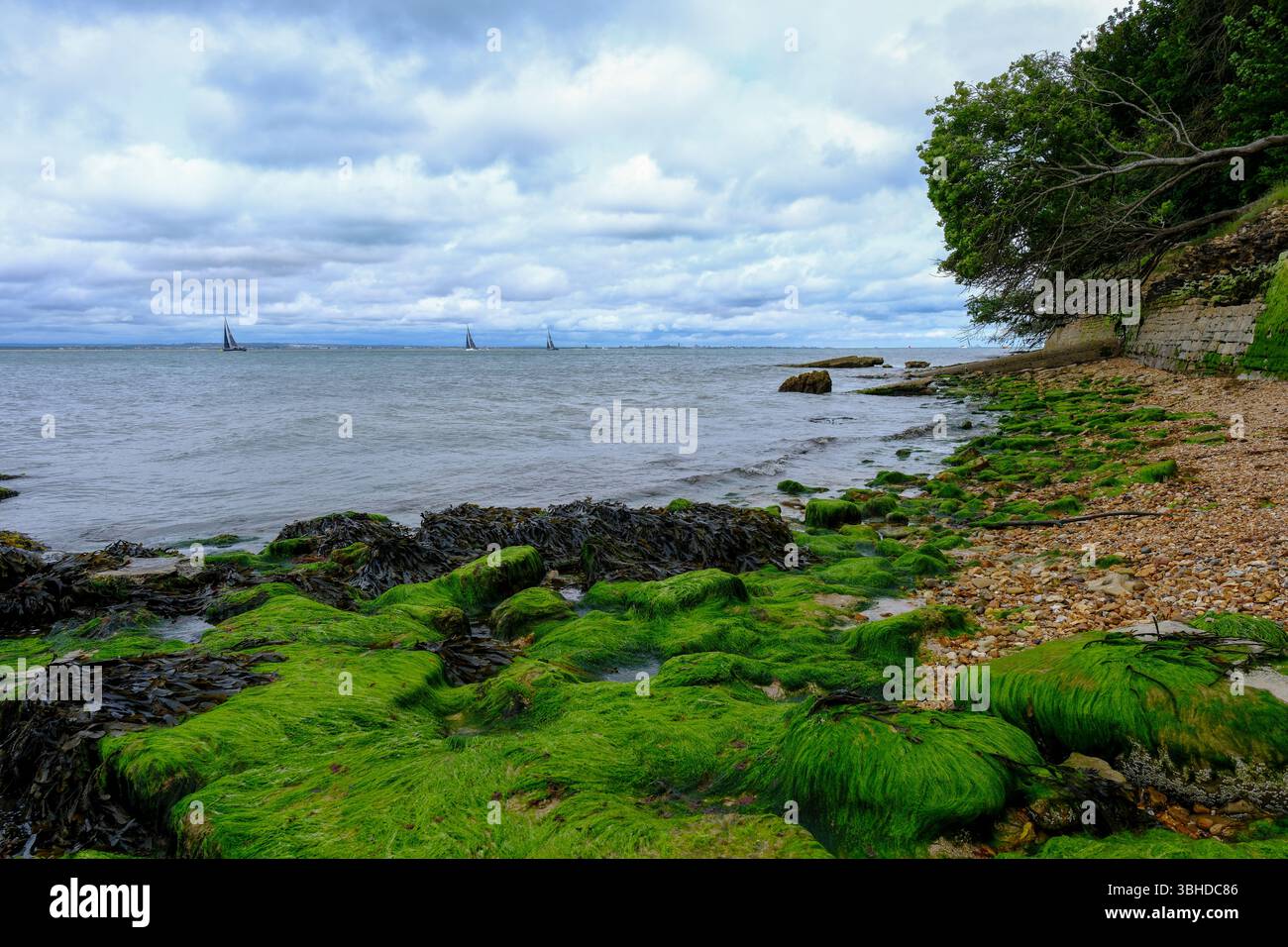7. Juni 2025 - Cowes, Isle of Wight - Segelyachten auf der Isle of Wight, um die Insel auf der letzten Etappe nach Cowes zu fahren. Stockfoto