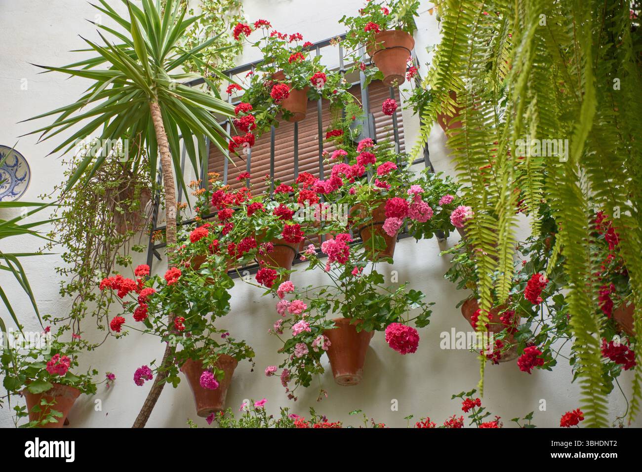 Traditionelle andalusische Terrasse mit Töpfen mit bunten Blumen wie Geranien, Petunien und Bougainvilleas, die die weiß getünchte Wand schmücken Stockfoto