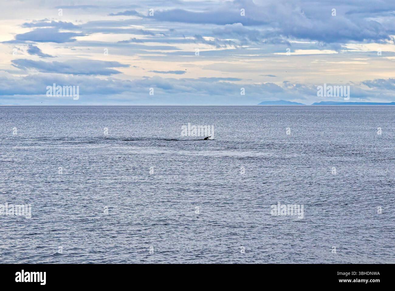 Straße von Magellan, Chile Stockfoto