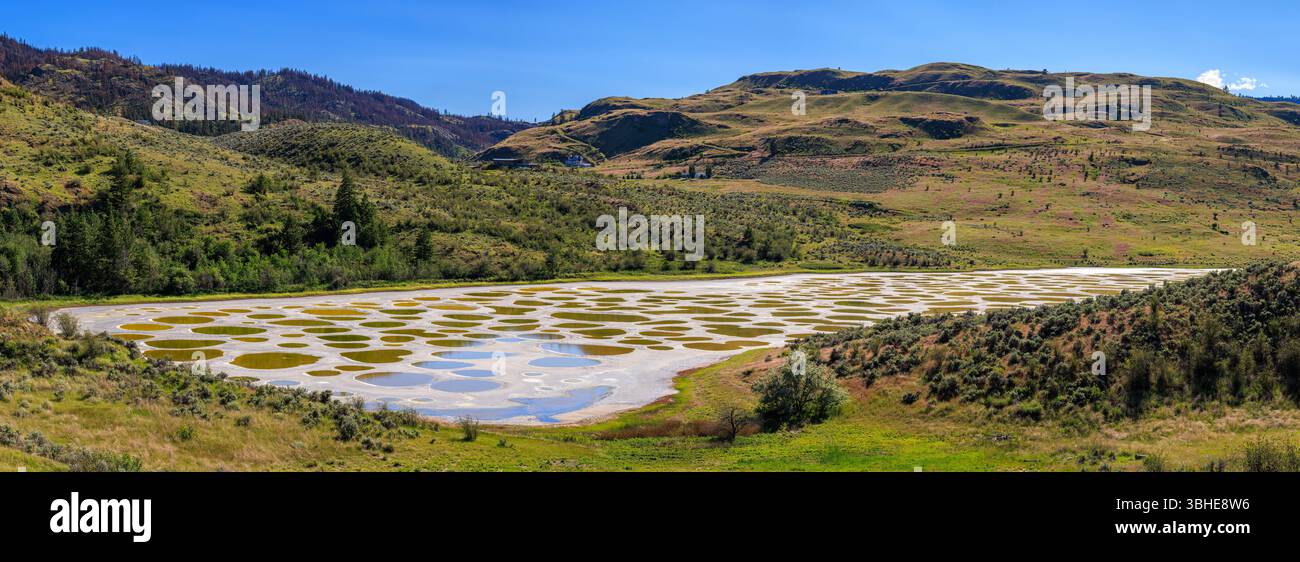 Spoted Lake, auch bekannt als Lake Khiluk bei den Syilx First Nations, ist ein salzhaltiger Alkali-See in der Nähe von Osoyoos in British Columbia Stockfoto