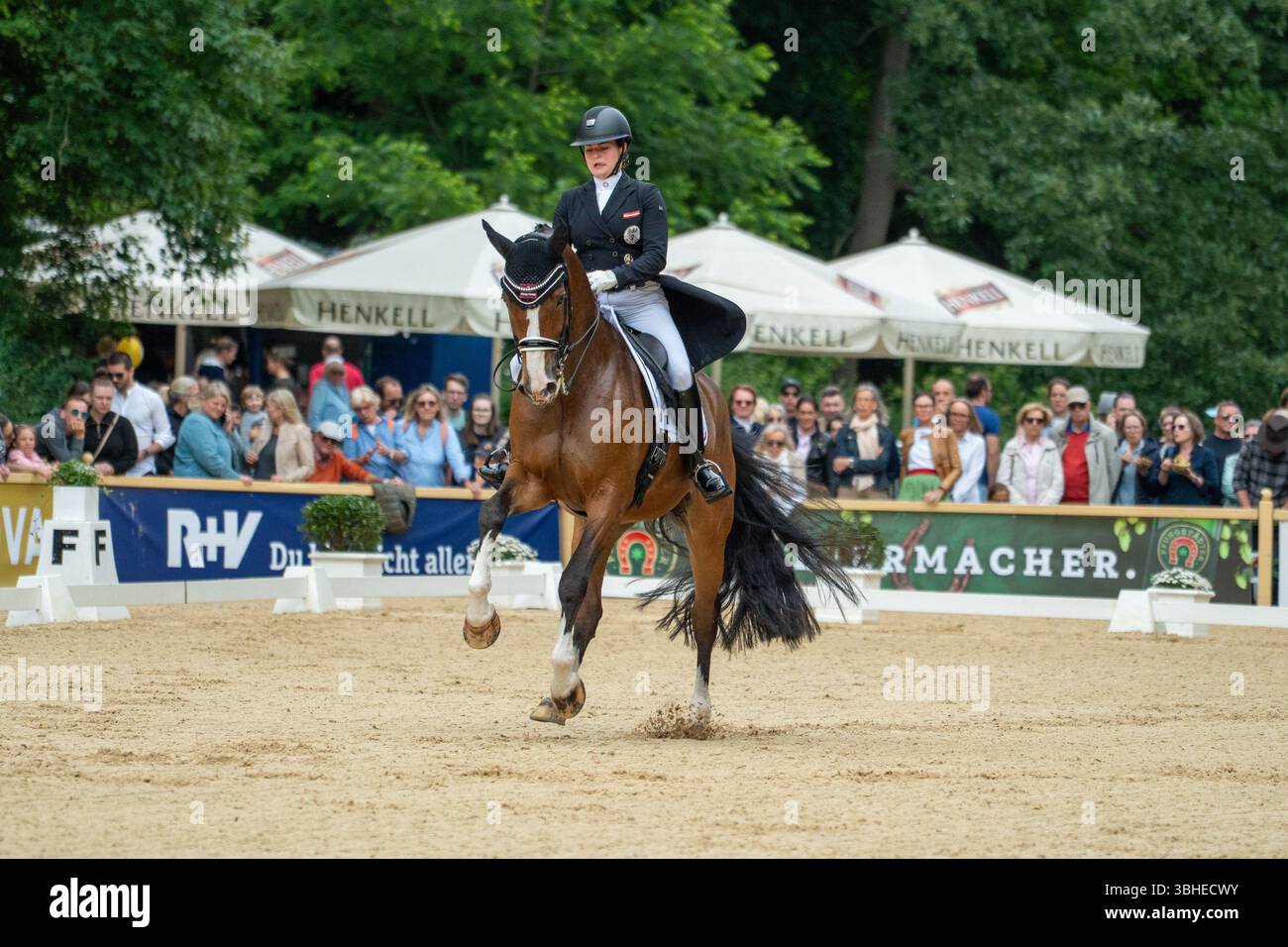 Biebricher Sclosspark, Deutschland. 09.06.2025: Biebricher Sclosspark, Deutschland Bild: Katharina Haas beim Dressurexamen Grand Prix Besondere Reitsportarten vor historischem Hintergrund: Beim traditionellen Pfingstturnier Wiesbaden 2025 treten internationale Spitzenreiter in den Disziplinen Springen, Dressur, Event und Gewölbe im Schlosspark Biebrich an. Quelle: Robin Huth/Alamy Live News Stockfoto Biebricher Sclosspark, Deutschland. 09.06.2025: Biebricher Sclosspark, Deutschland Bild: Katharina Haas beim Dressurexamen Grand Prix Besondere Reitsportarten vor historischem Hintergrund: Beim traditionellen Pfingstturnier Wiesbaden 2025 treten internationale Spitzenreiter in den Disziplinen Springen, Dressur, Event und Gewölbe im Schlosspark Biebrich an. Quelle: Robin Huth/Alamy Live News Stockfoto