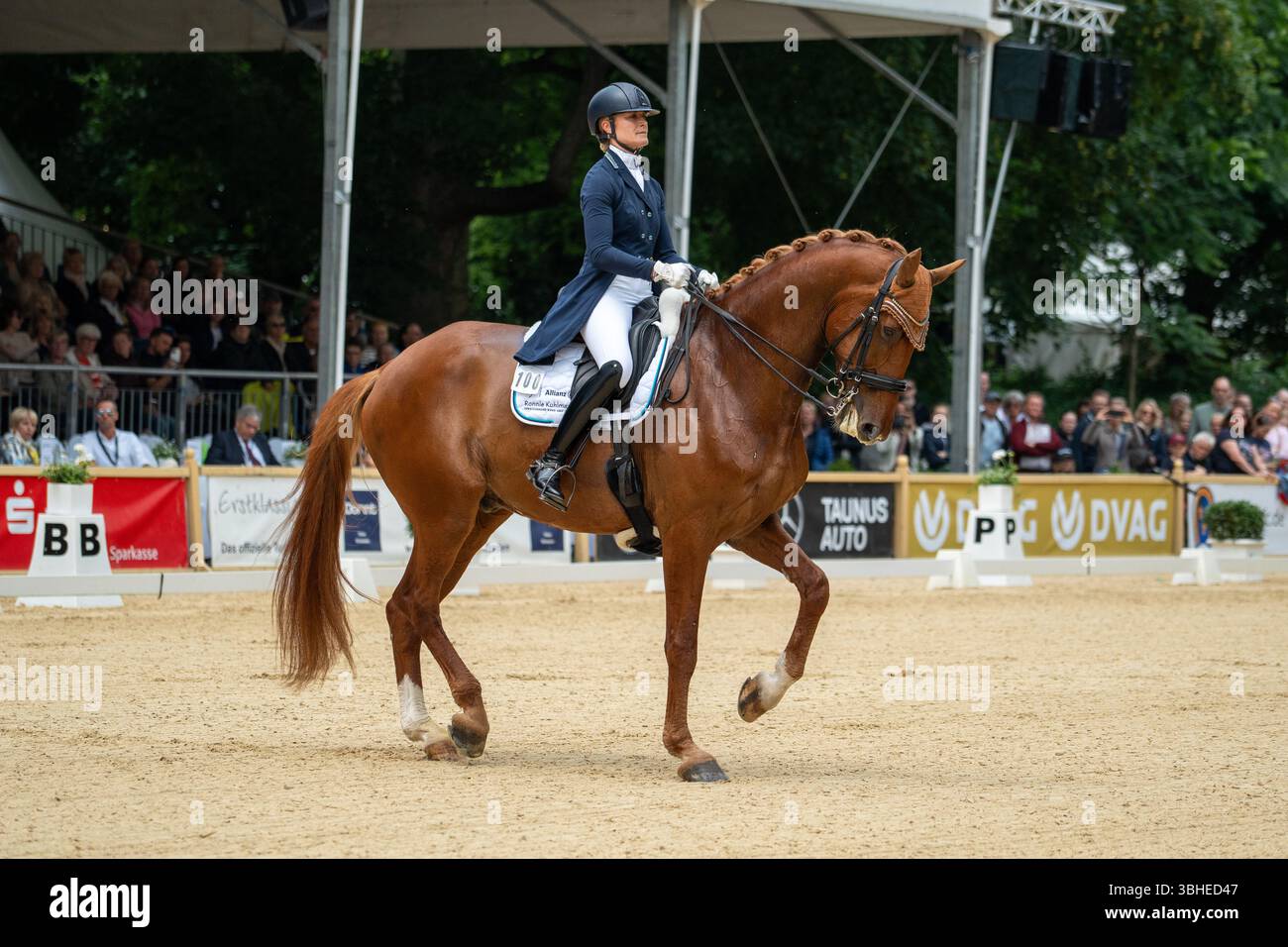 Biebricher Sclosspark, Deutschland. 09.06.2025: Longines Internationales Pfingstturnier Wiesbaden 2025, Biebricher Sclosspark, Deutschland Bild: Pferdesport vor historischem Hintergrund: Beim traditionellen Pfingstturnier Wiesbaden 2025 treten internationale Spitzenreiter in den Disziplinen Springen, Dressur, Event und Gewölbe im Schlosspark Biebrich an. Quelle: Robin Huth/Alamy Live News Stockfoto Biebricher Sclosspark, Deutschland. 09.06.2025: Longines Internationales Pfingstturnier Wiesbaden 2025, Biebricher Sclosspark, Deutschland Bild: Pferdesport vor historischem Hintergrund: Beim traditionellen Pfingstturnier Wiesbaden 2025 treten internationale Spitzenreiter in den Disziplinen Springen, Dressur, Event und Gewölbe im Schlosspark Biebrich an. Quelle: Robin Huth/Alamy Live News Stockfoto