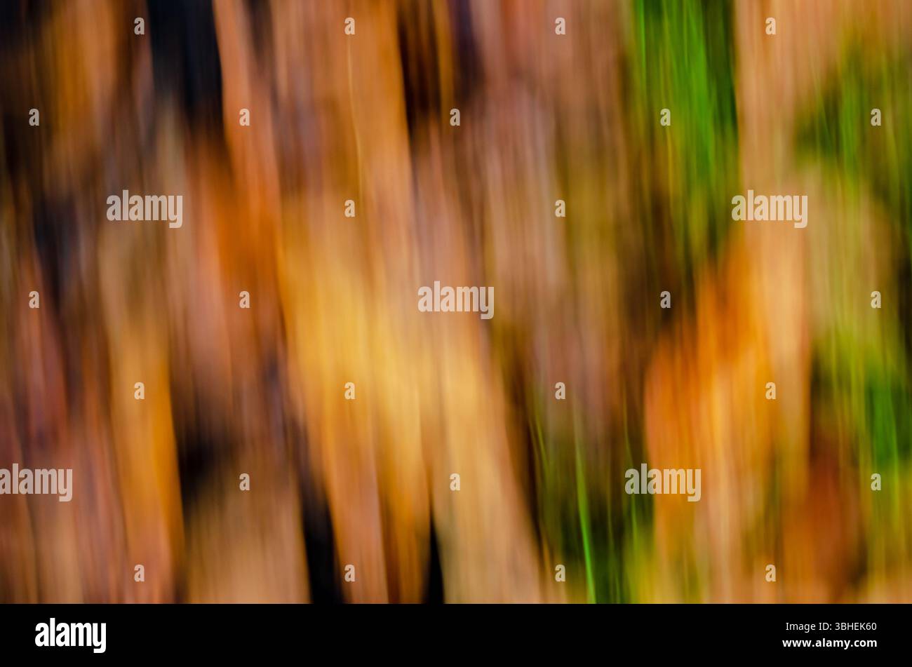 Verschwommener Bewegungshintergrund gemischter Herbstfarben Stockfoto