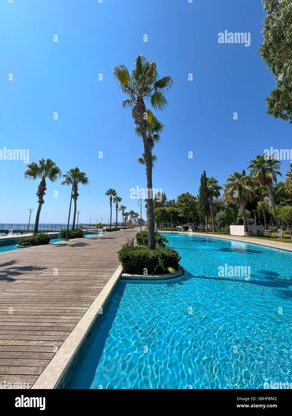 Sonniger Tag an einer wunderschönen Küstenpromenade gesäumt von Palmen und kristallklarem blauem Wasser, perfekt für entspannende Spaziergänge am Meer. - Smartphone-aufgenommenes Stockfoto