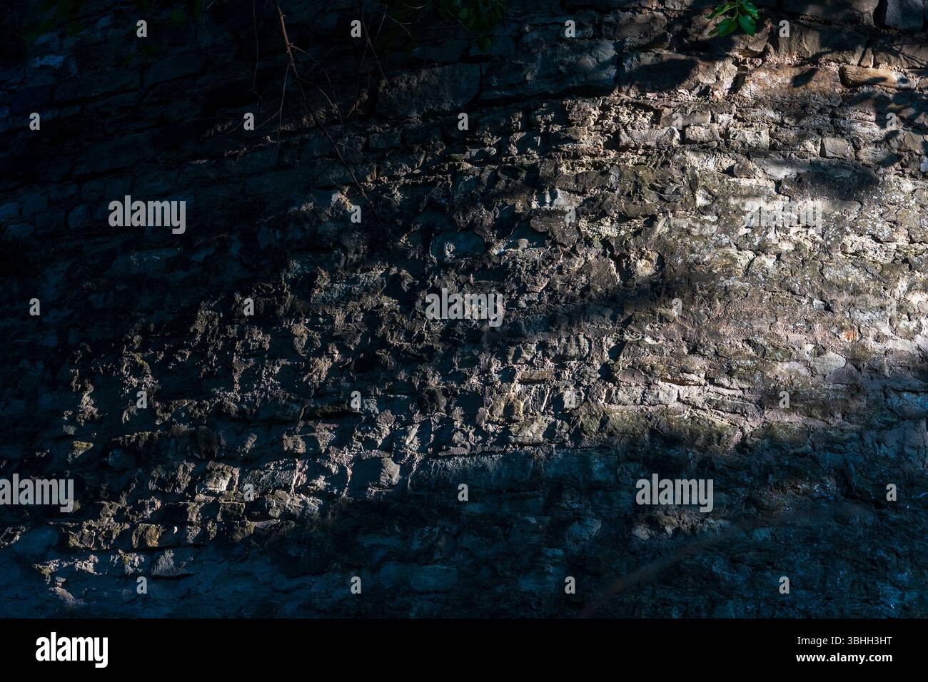 Schatten an der Wand bei den Bäumen. Stockfoto