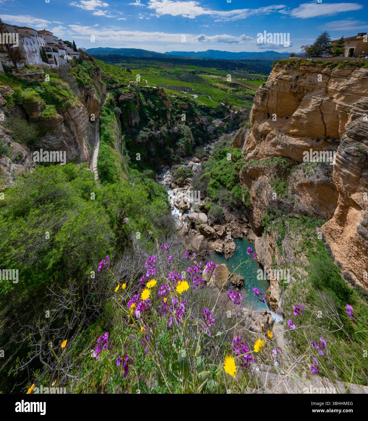 Blick auf das Tal von der Neuen Brücke in Ronda, Andalusien Spanien Stockfoto