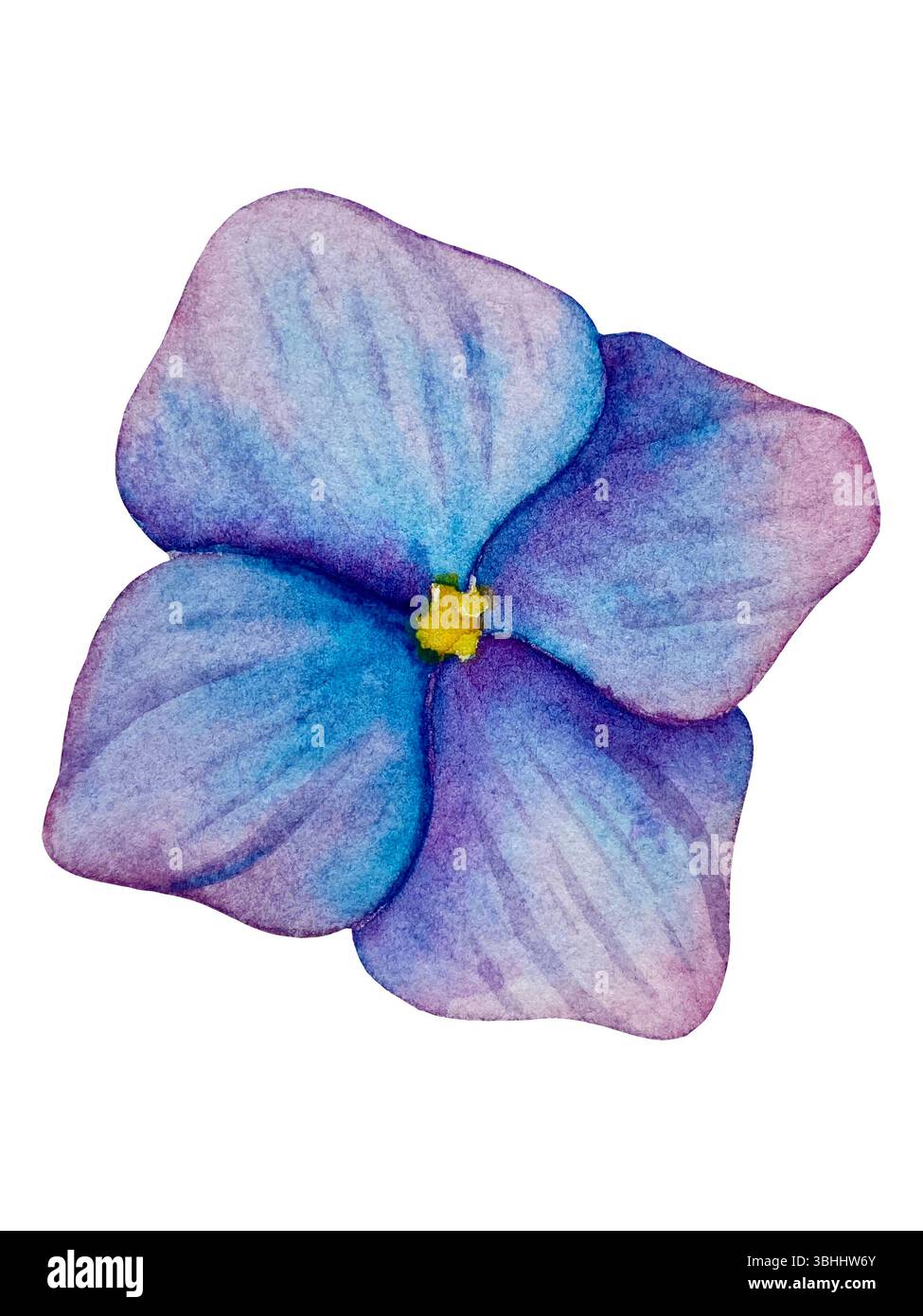 Rosa Gartenblumen isoliert auf weißem Hintergrund, Aquarellillustration. Pinkfarbener Blumenstrauß, burgunderrote Pfingstrosen. Lilafarbener Hortensien, Rahmen Stockfoto