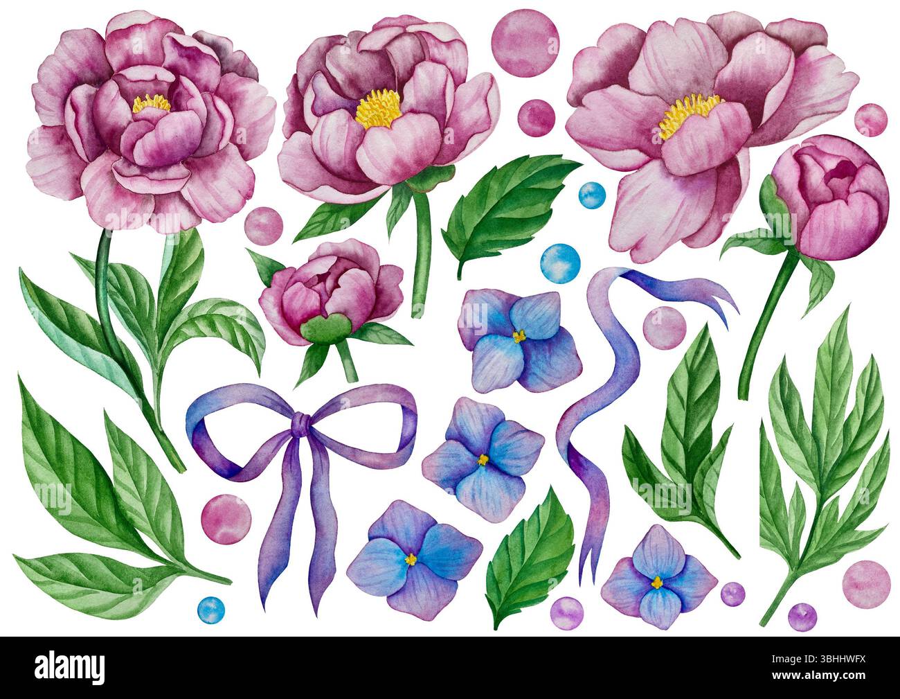 Rosa Gartenblumen isoliert auf weißem Hintergrund, Aquarellillustration. Pinkfarbener Blumenstrauß, burgunderrote Pfingstrosen. Lilafarbener Hortensien, Rahmen Stockfoto