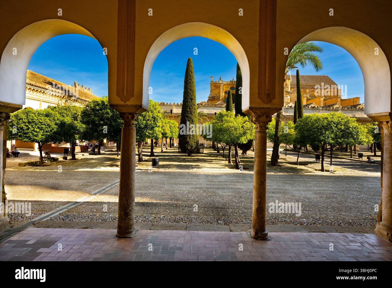 Terrasse mit Orangenbäumen in La Mezquita, Cordoba Moschee Kathedrale. Spanien Stockfoto