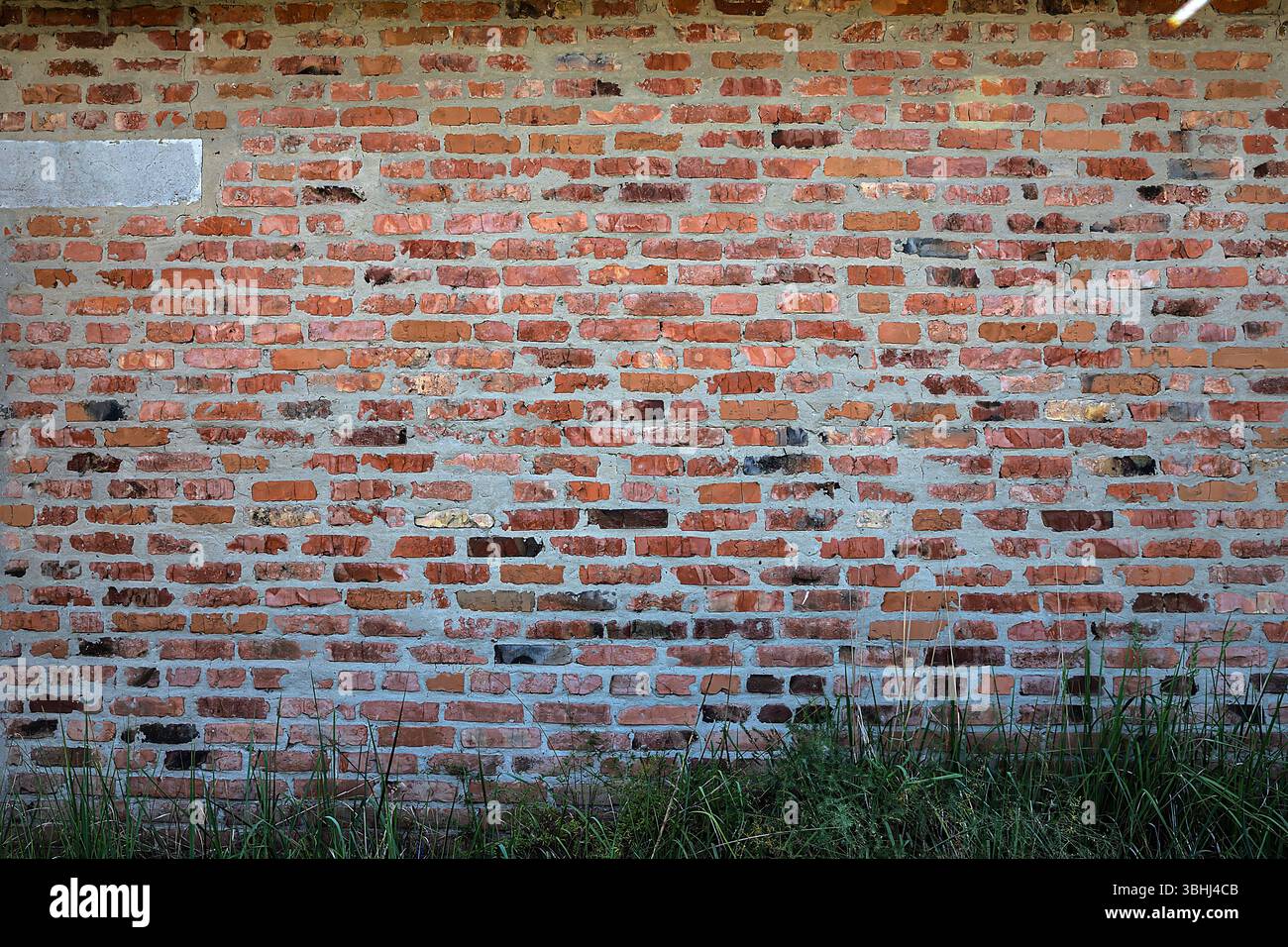 Nahaufnahme einer strukturierten roten Ziegelfassade mit alten Mörtelfugen und wildem Gras am Boden. Ideal für Themen wie Architektur, Textur, Urban Stockfoto