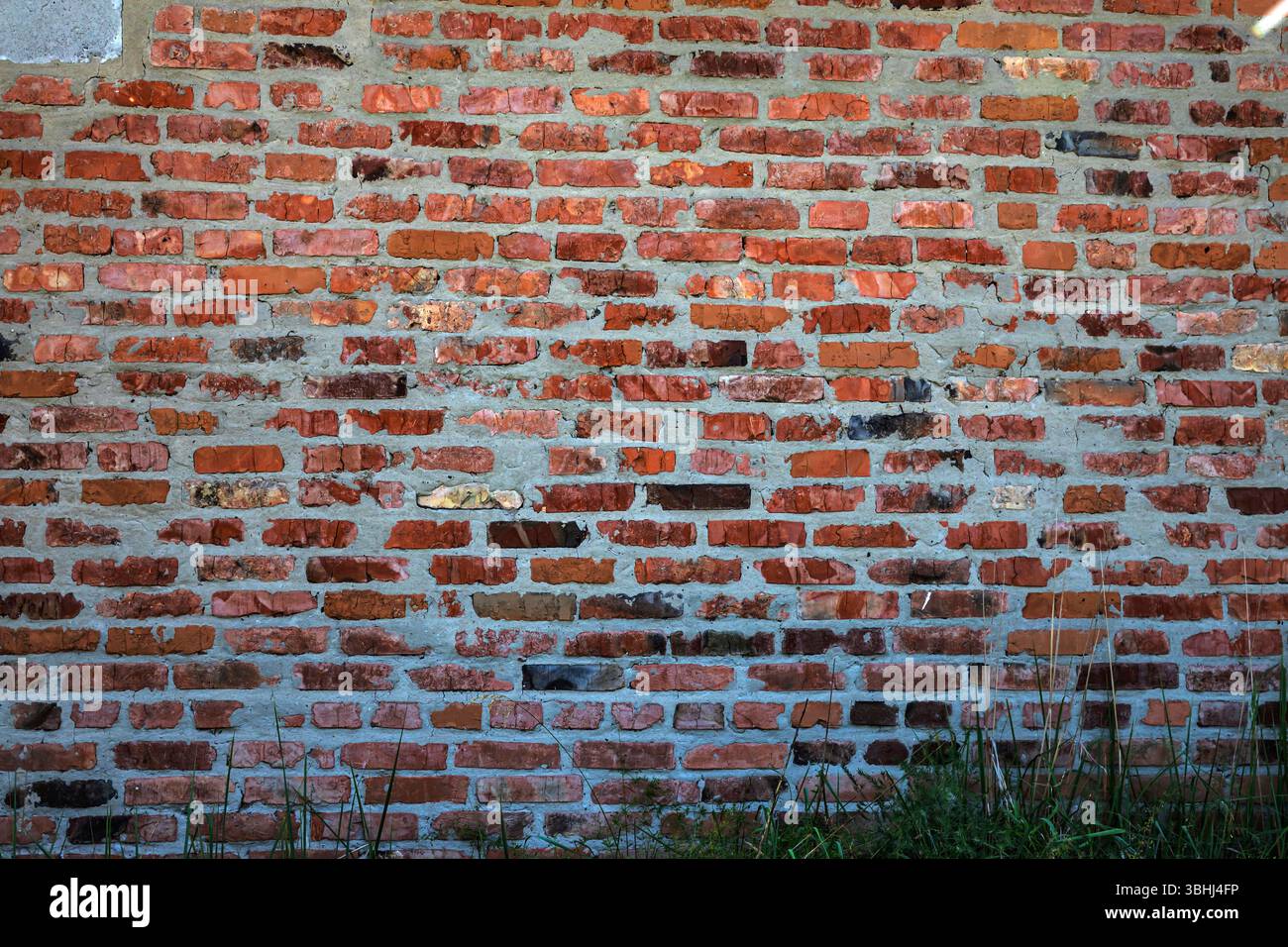 Nahaufnahme einer strukturierten roten Ziegelfassade mit alten Mörtelfugen und wildem Gras am Boden. Ideal für Themen wie Architektur, Textur, Urban Stockfoto