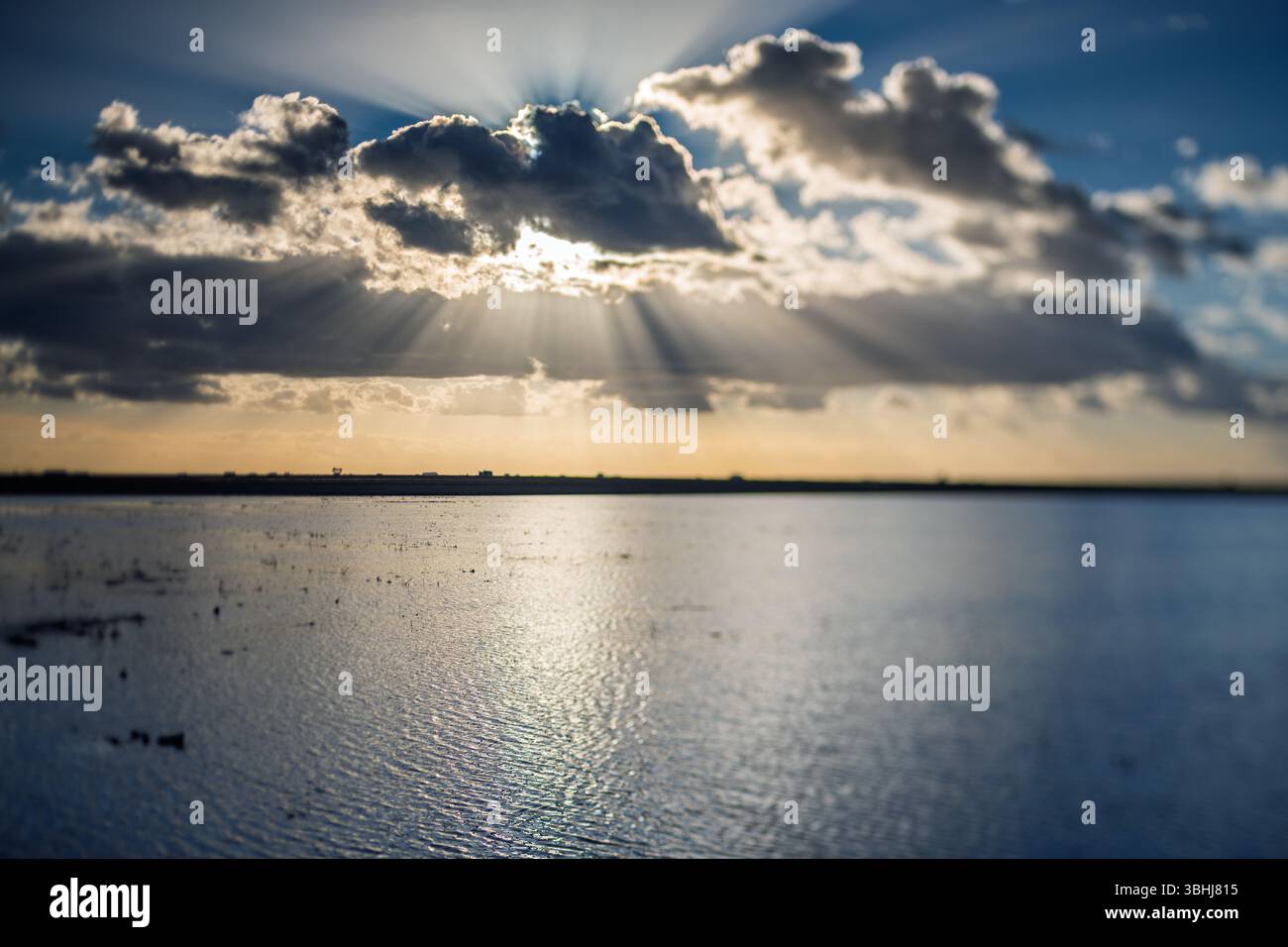 Der goldene Sonnenuntergang wirft Sonnenstrahlen über die ruhigen Reisfelder in Isla Mayor, Sevilla, und unterstreicht die ruhige Schönheit der andalusischen Landschaft. Stockfoto