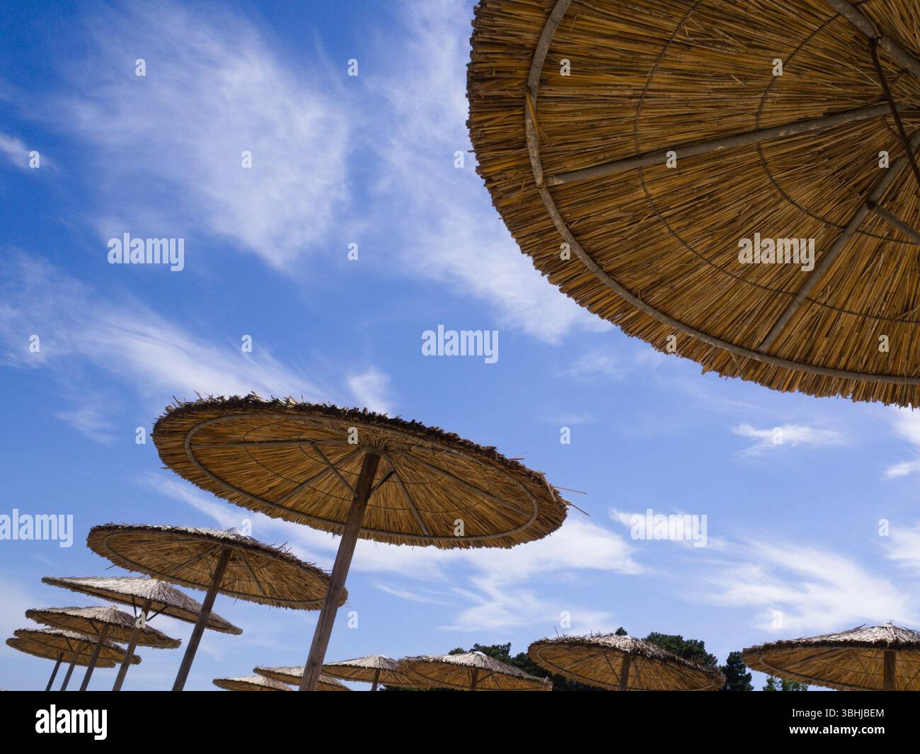 Strohschirme, die aus einem Seitenwinkel unter einem lebendigen Himmel fotografiert wurden. Starke Komposition mit natürlichen Texturen und diagonalem Layout. Stockfoto