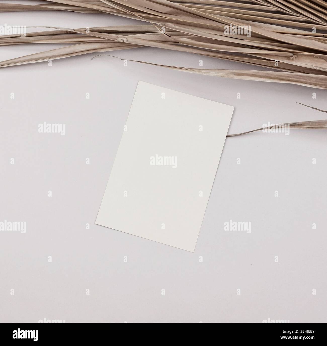 Kartenmockup minimales Design neutrale natürliche trockene Palmblattstiele Ästhetik von oben Stockfoto