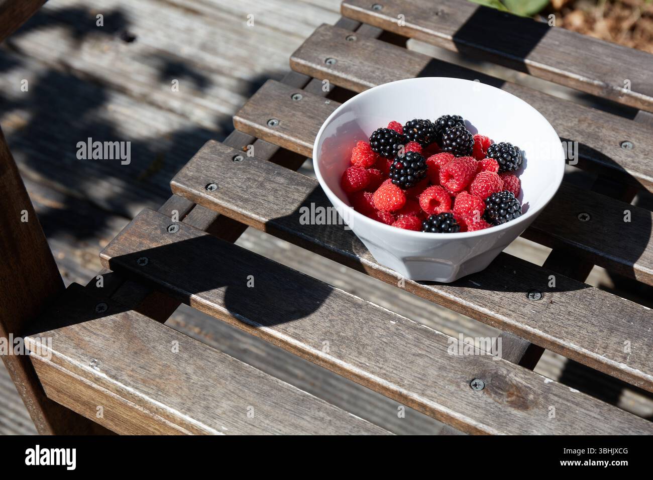 Bunte Himbeeren und Brombeeren füllen eine weiße Schüssel, die auf einem Holztisch in einem sonnendurchfluteten Garten liegt. Die Frucht zeigt darunter leuchtende Farbtöne Stockfoto