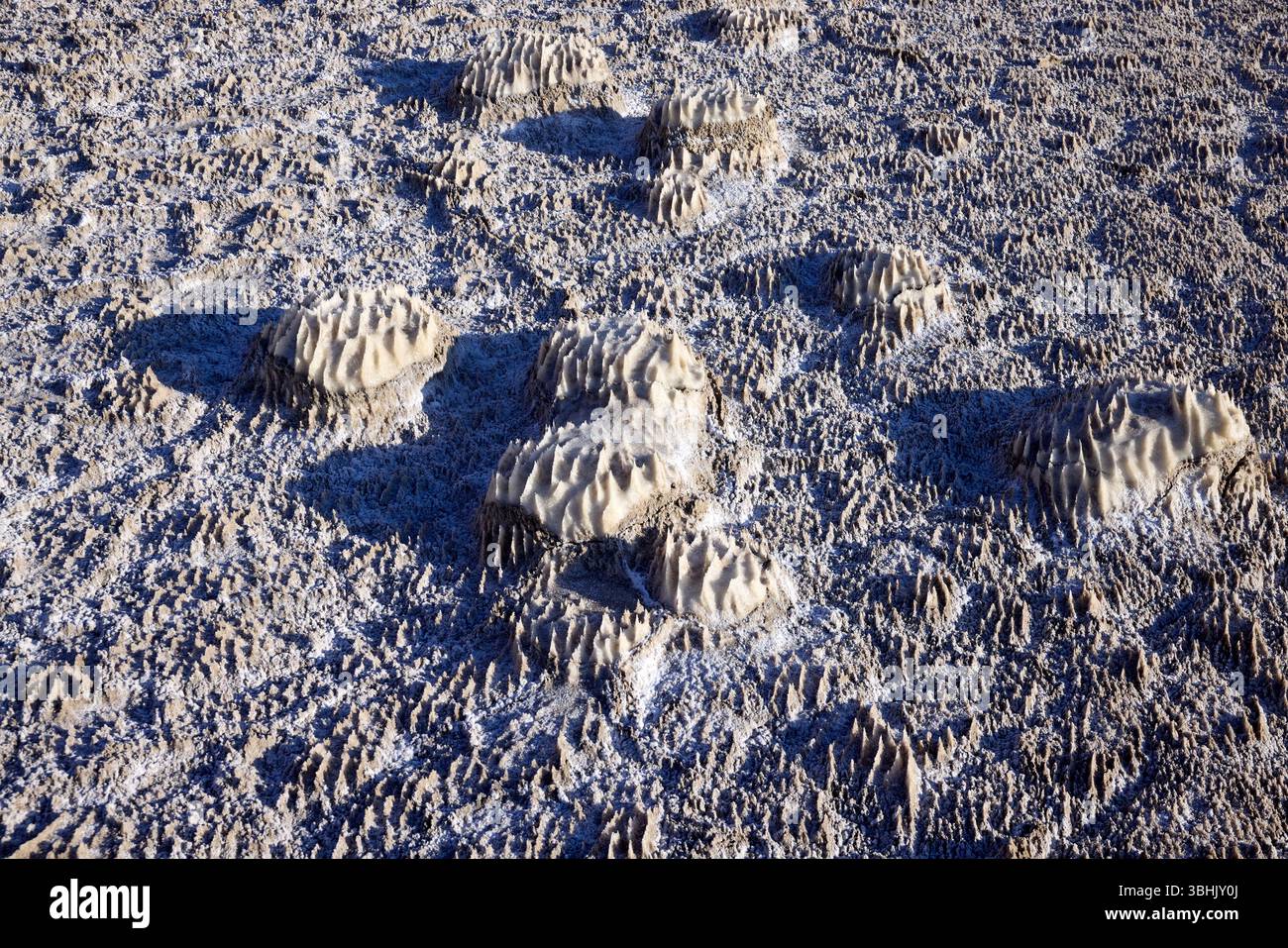 Zahlreiche faszinierende Salzformationen bilden eine ungewöhnliche Landschaft entlang der Küste des Toten Meeres in Jordanien, die die einzigartige Geologie der Region unterstreicht Stockfoto