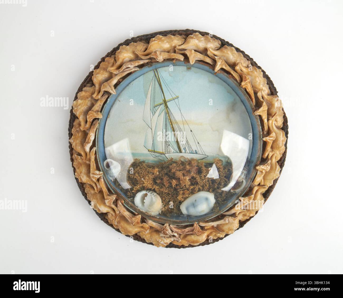 Antikes Shell Art Diorama 1900 Stockfoto