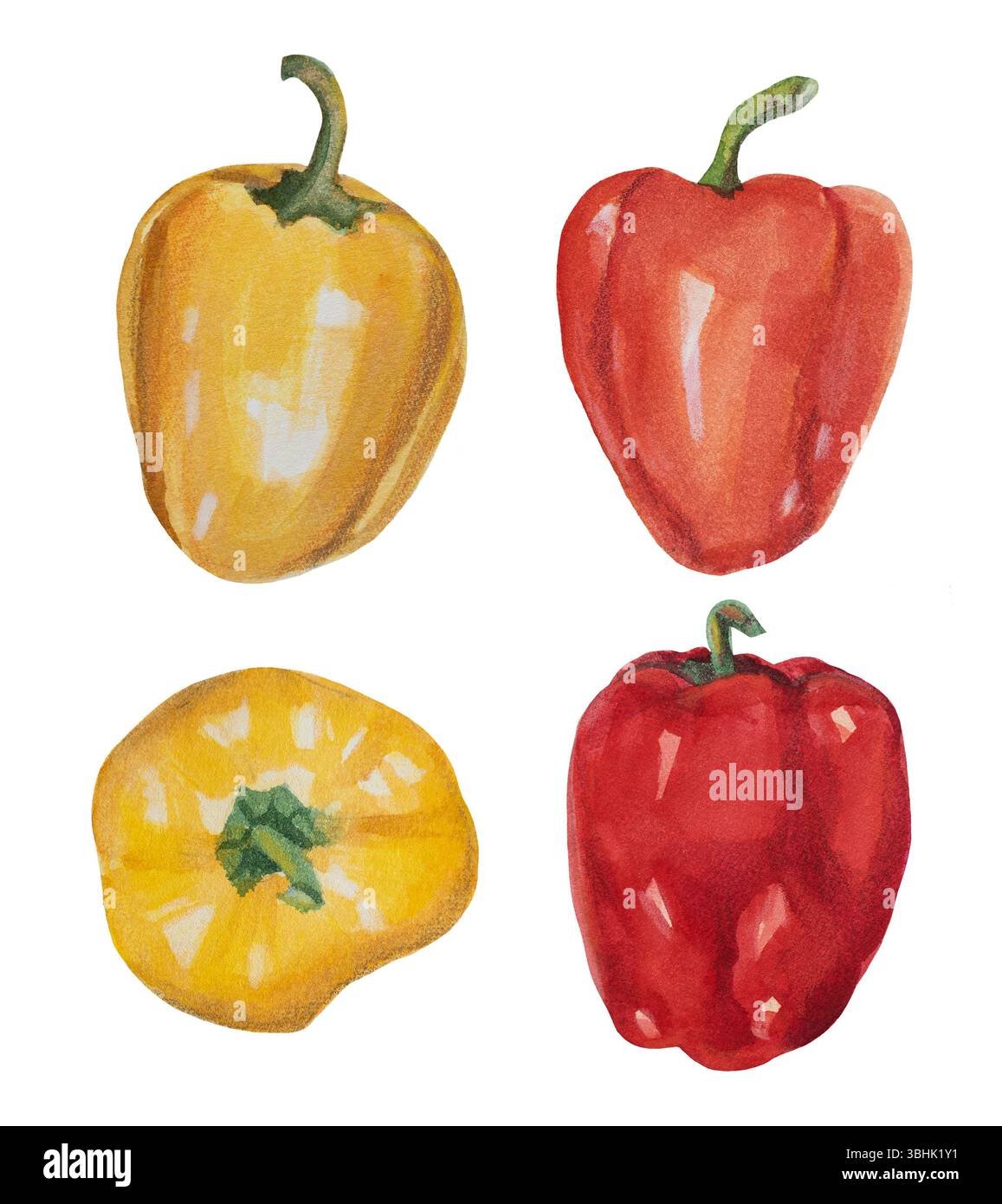 Aquarellgemüse mit gelber, orangener und roter Paprika auf weißem Hintergrund. Handgezeichnete isolierte frische Lebensmittel Pfeffer Paprika von oben Stockfoto