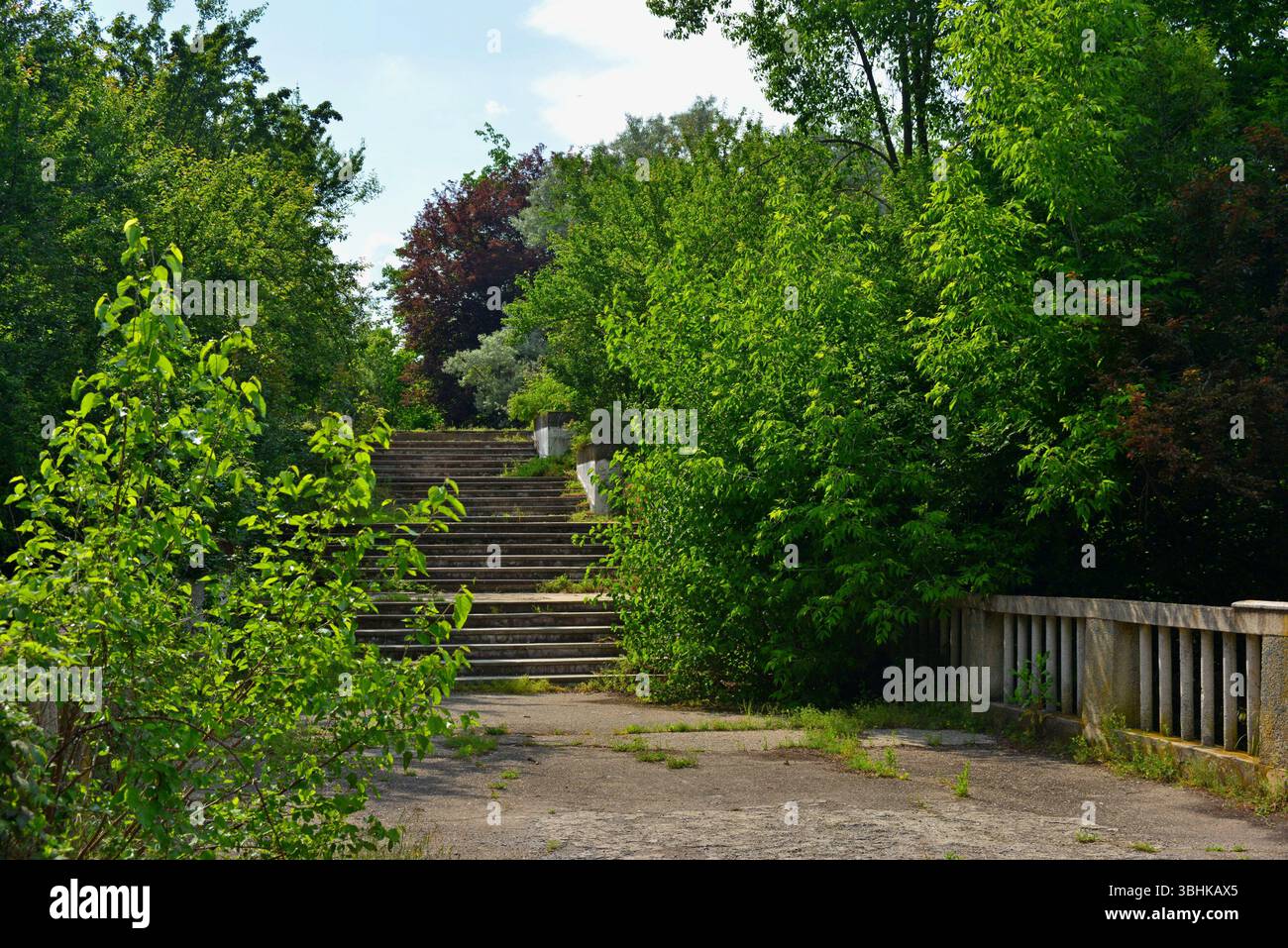 Alte Betontreppen, zwischen grünen Federbüschen, die ins nichts führen Stockfoto