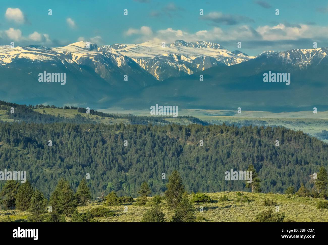 Granitgipfel und Froze-to-Death-Plateau in den beartooth Mountains aus den Ausläufern von columbus, montana Stockfoto