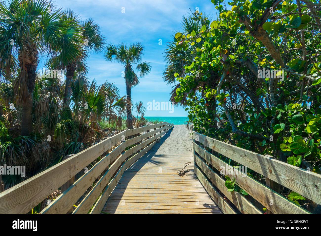 Holzweg zum Venice Beach in der Nähe von Sarasota, Florida Stockfoto