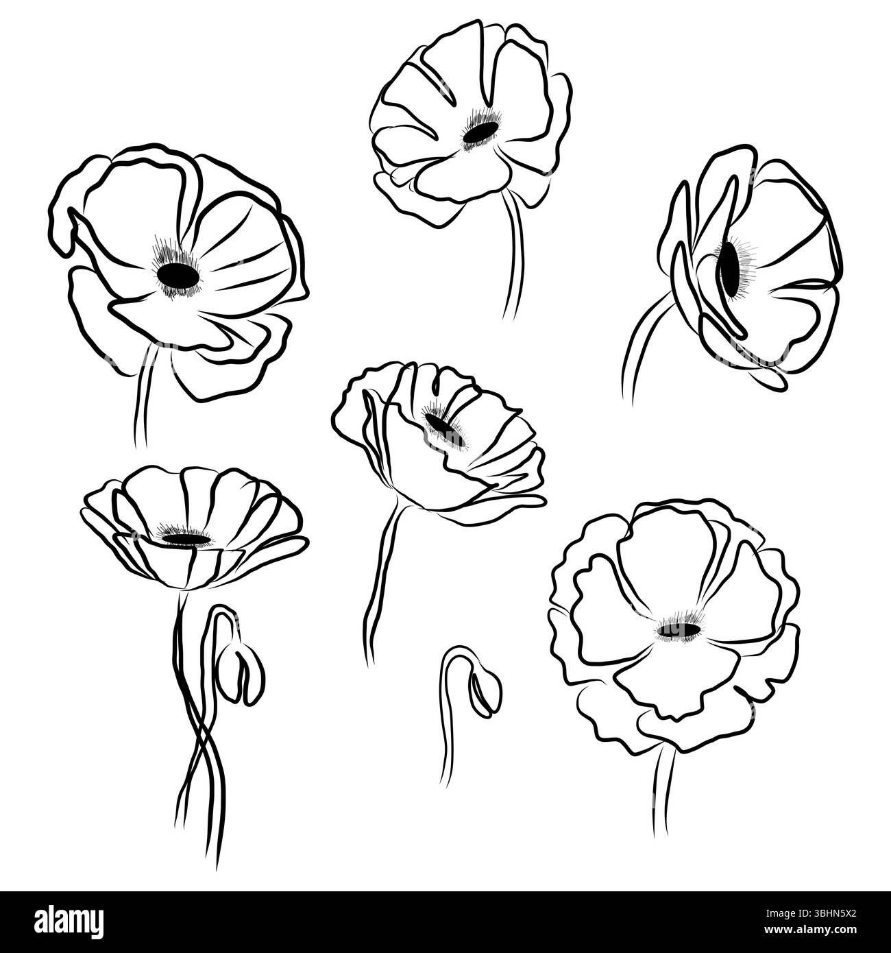 Mohnblumensymbol. Symbol für Blütenpflanzen. Schwarze Kontur. Vektormohn-Illustration. Stock Vektor