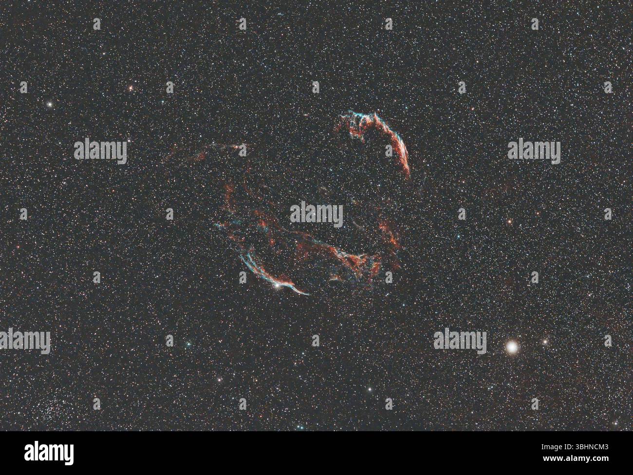 Der Cygnus Loop, ein großer Supernova-Überrest (SNR) im Sternbild Cygnus, ein Emissionsnebel, der als Schleiernebel bekannt ist Stockfoto