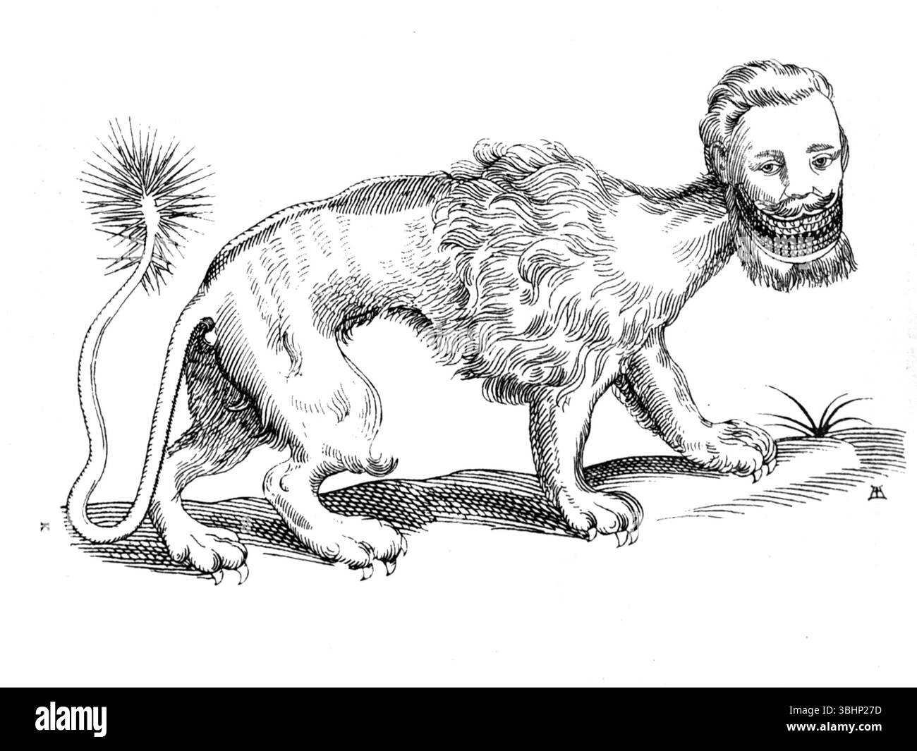 John Ashton - The Manticora - Curious Creatures in Zoology - 1890 Stockfoto