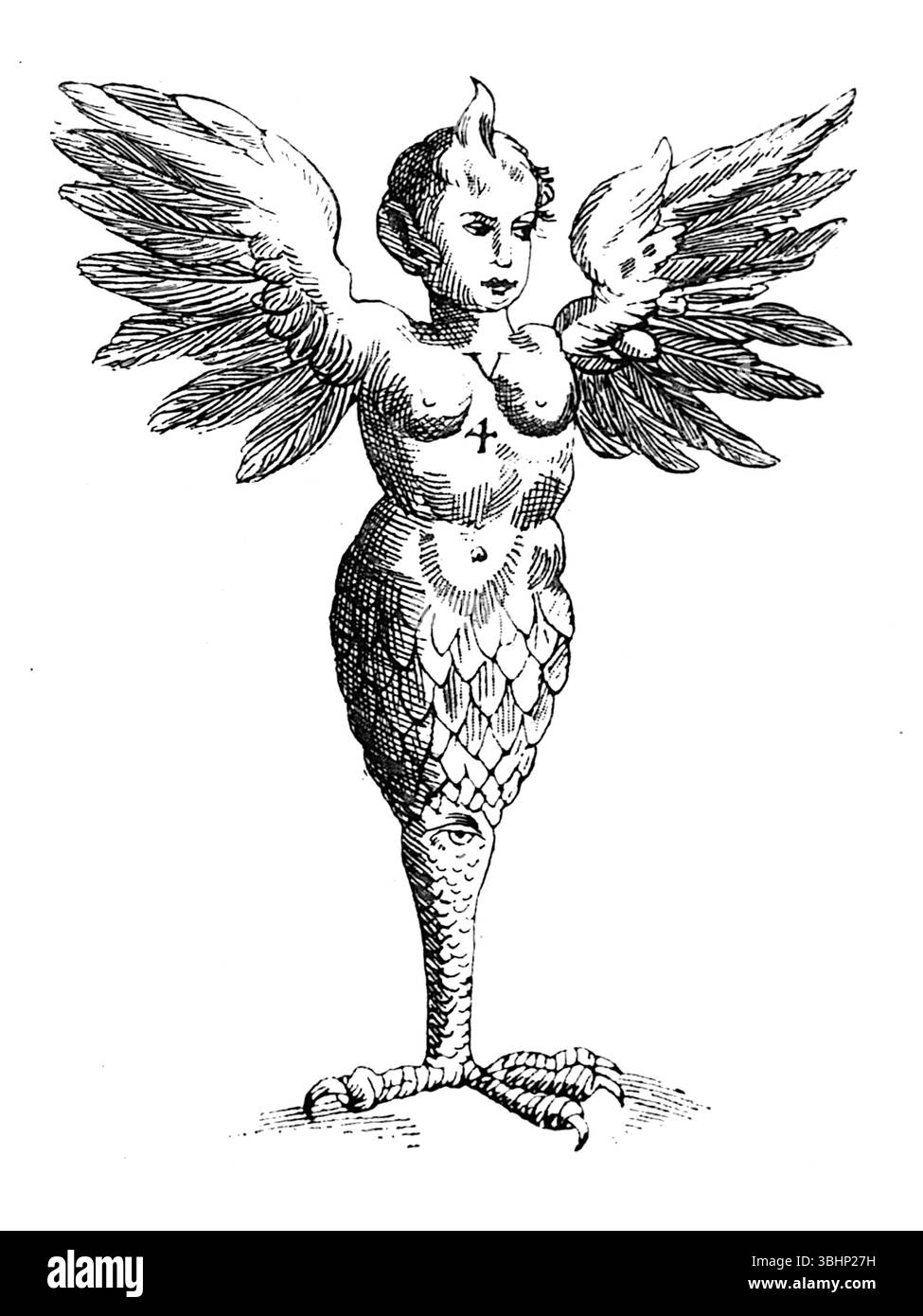 John Ashton - Monster von Ravenna - Neugierige Kreaturen in Zoologie - 1890 Stockfoto