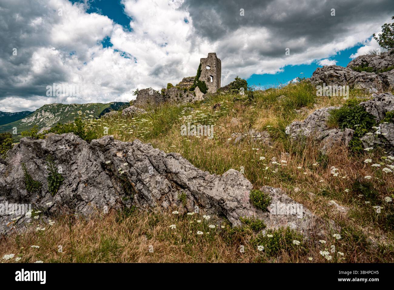 Ruinen efeu bedeckt -Fotos und -Bildmaterial in hoher Auflsung  Alamy
