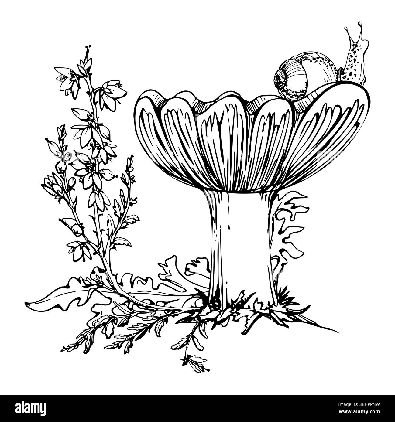 Russula Webcap Pilz, Schnecke oben, Heidekraut Blumen, Moosflechte wuchs. Waldboden-Habitatszene. Illustration in Vektortinte handgezeichnet Stock Vektor