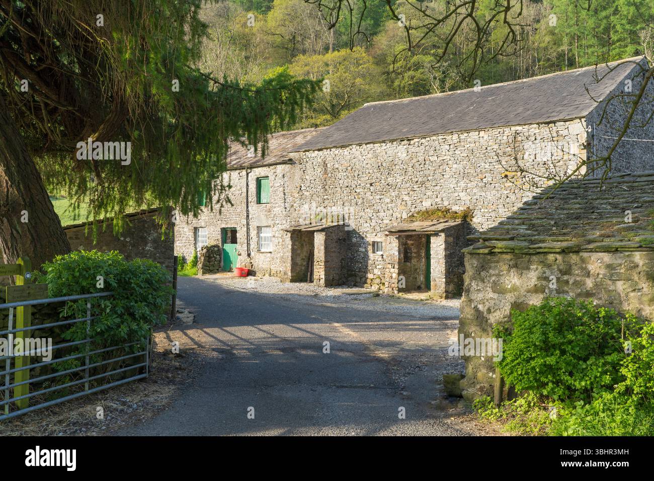 Dentdale in der Nähe von Sedbergh, Cumbria, England Stockfoto