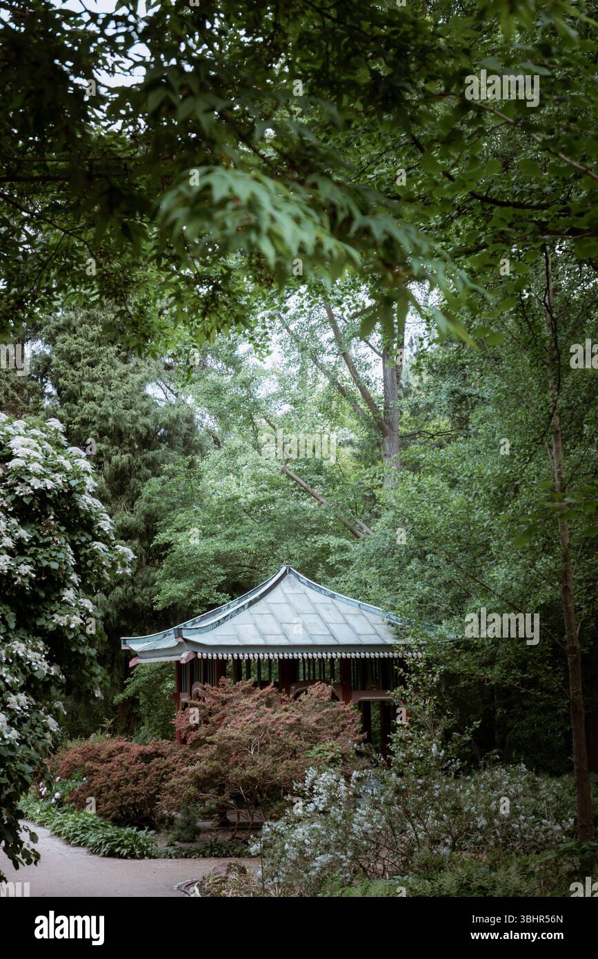 Garten und Parks Berlin Stockfoto