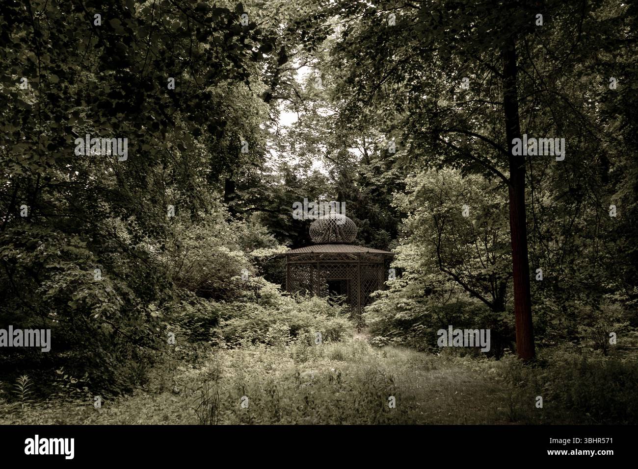 Garten und Parks Berlin Stockfoto