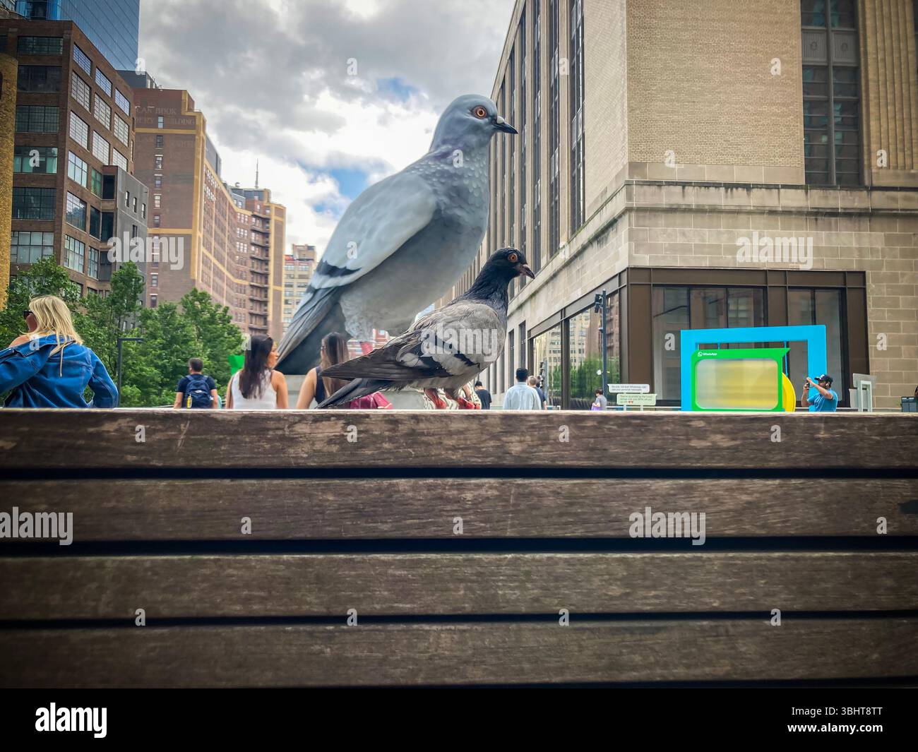 Besucher, darunter Tauben, strömen am Sonntag, den 8. Juni 2025, zum „Dinosaur“ (2024) des Künstlers Iván Argote, der über der Tenth Avenue auf der High Line Spur in New York thront. Die überdimensionale, handgemalte, hyperrealistische Skulptur aus Aluminiumguss einer stereotypen New Yorker Taube verweist auf die Vorfahren des Vogels, der vor Millionen von Jahren ausgestorben war. Der Riesenvogel wird bis zum Frühjahr 2026 zu sehen sein. (© Frances M. Roberts) Stockfoto