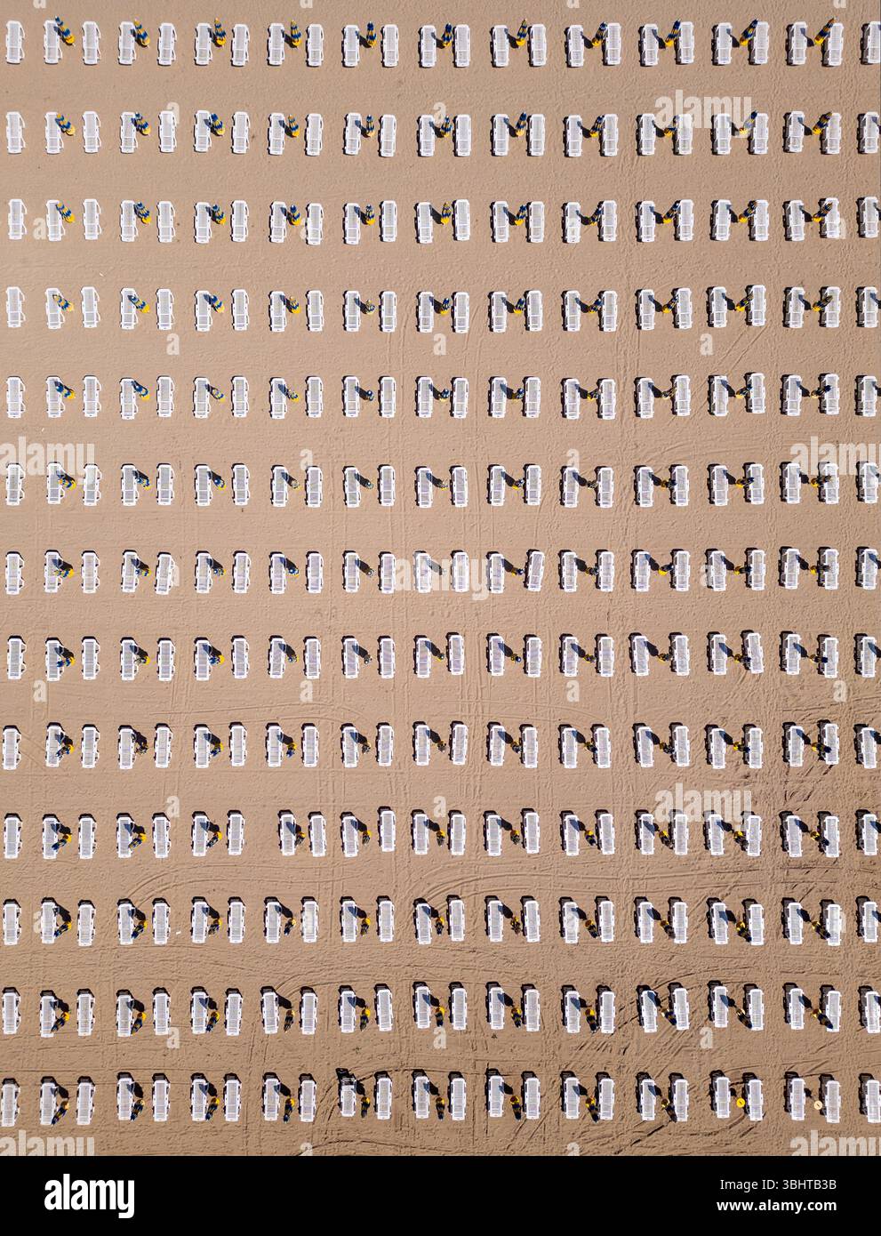 Von oben aus blickt man auf perfekt ausgerichtete Liegestühle und Sonnenschirme auf sandigem Boden. Sich wiederholende geometrische Muster erzeugen ein minimalistisches und Stockfoto