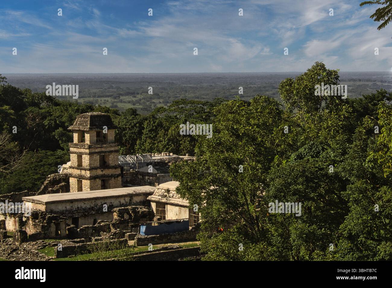 Alte Maya-Ruinen von Palenque in Chiapas, Mexiko, UNESCO-Weltkulturerbe umgeben von Dschungel und Geschichte. Stockfoto