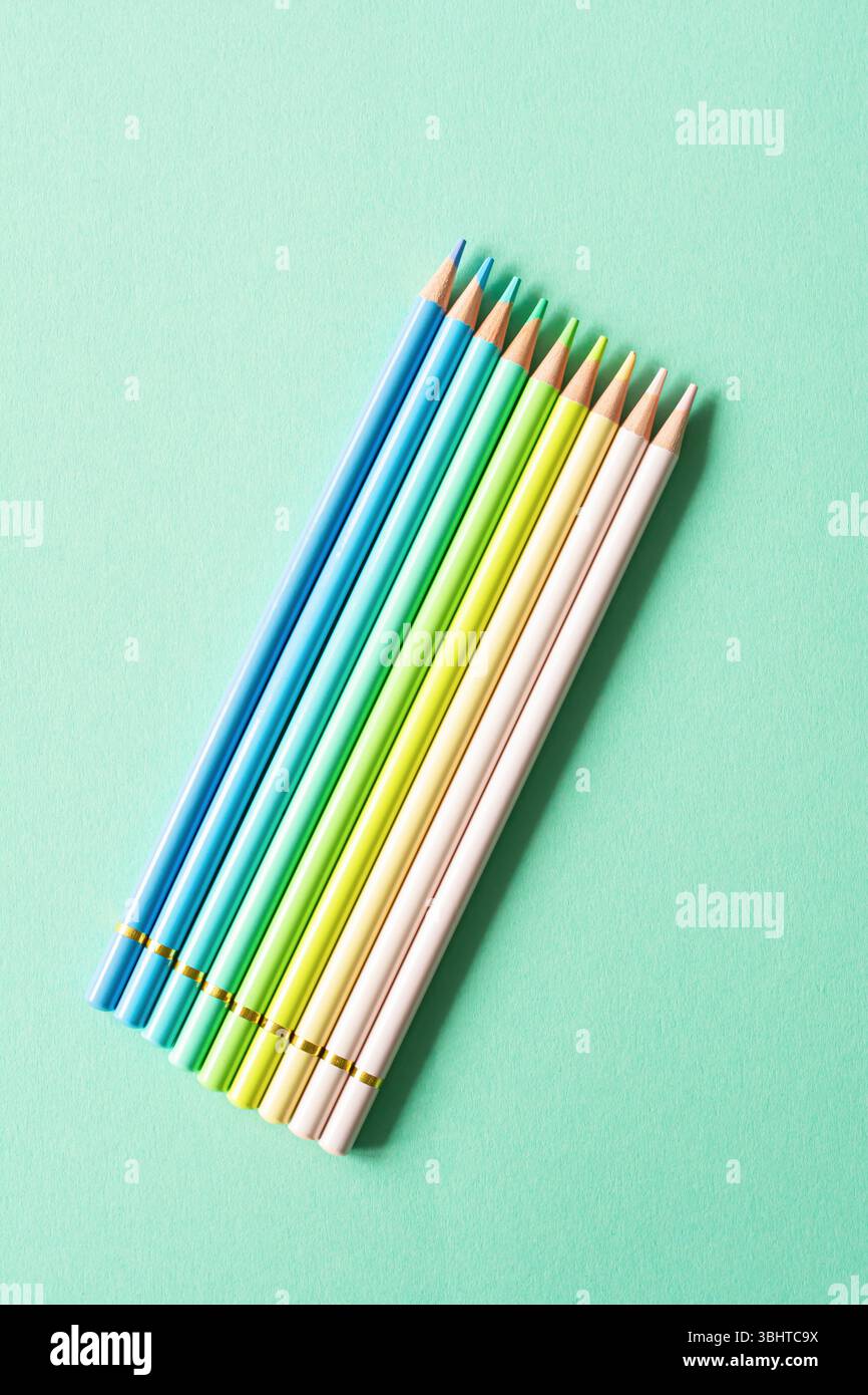 "Back to School", "Education and Work Concept". Schreibwaren zum Lernen (Studium) auf Minzhintergrund. Ansicht von oben, Draufsicht. Stockfoto